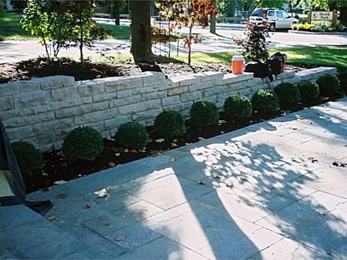 Photo 43
