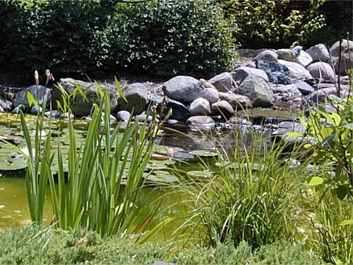 Photo 25