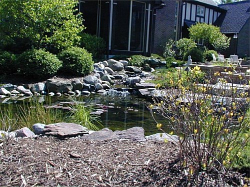 Photo 29